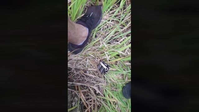 Synbaherrera  10-01-2023